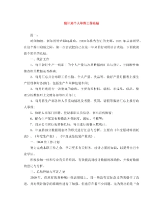统计局个人年终工作总结 