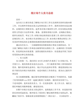 统计局个人实习总结 