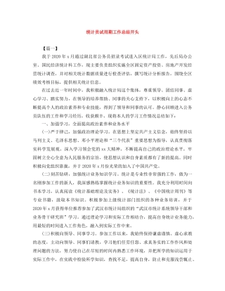 统计员试用期工作总结开头 