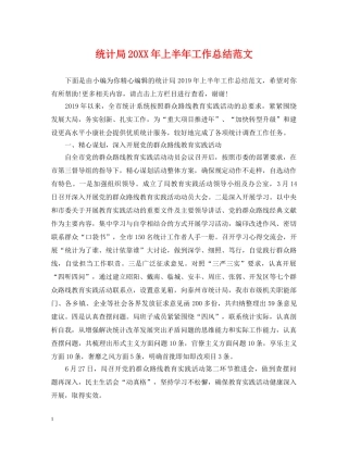 统计局20XX年上半年工作总结范文 
