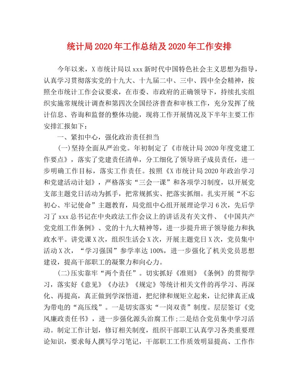 统计局2020年工作总结及2020年工作安排 _第1页