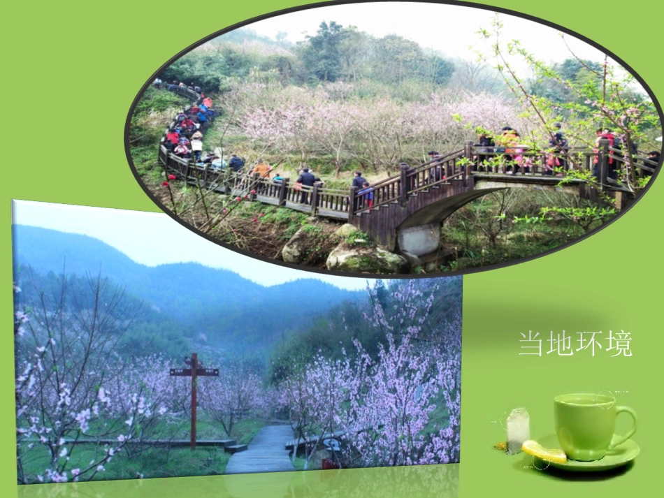 幼儿园环境创设 (2)_第2页