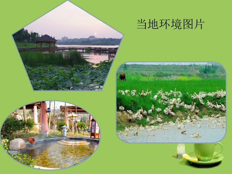 幼儿园环境创设 (2)_第3页