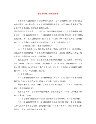 统计员年终工作总结报告 