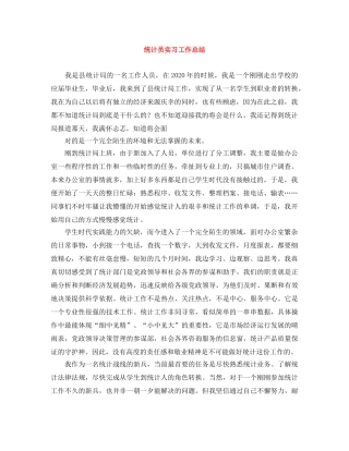统计员实习工作总结 