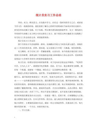 统计员实习工作总结2 