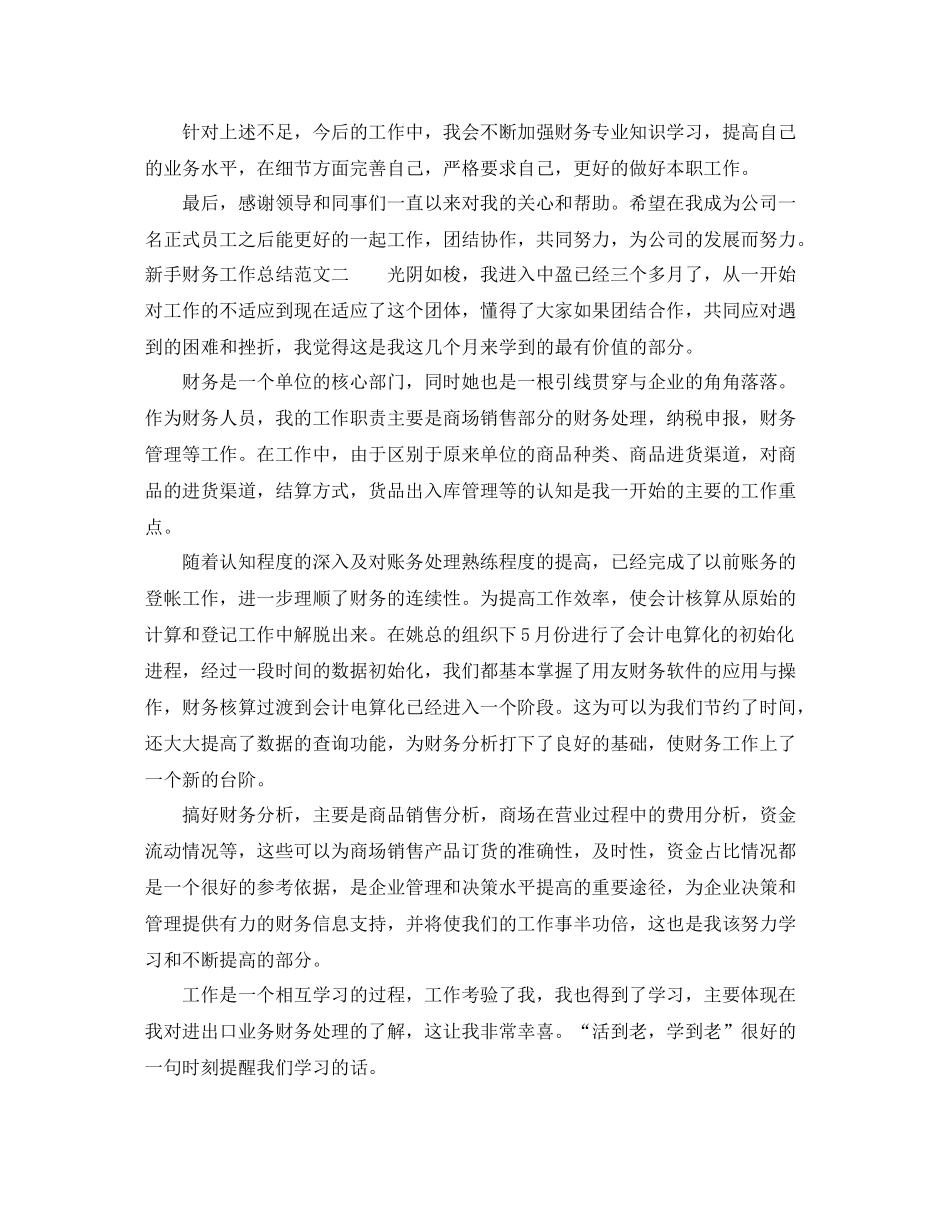 新手财务工作总结范文_第2页