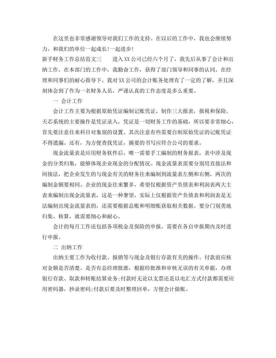 新手财务工作总结范文_第3页