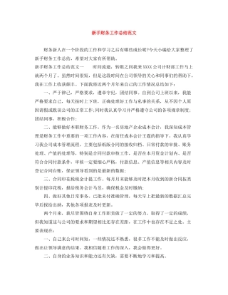 新手财务工作总结范文