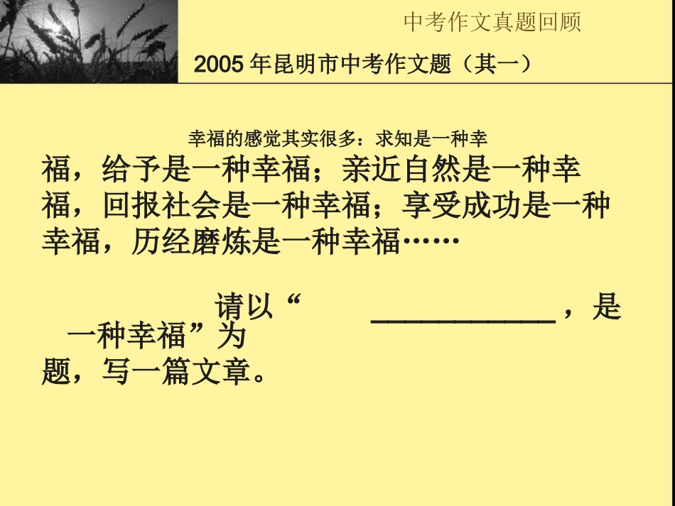 中考作文指导(公开课)_第2页