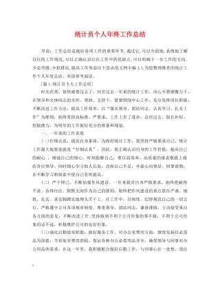 统计员个人年终工作总结2 