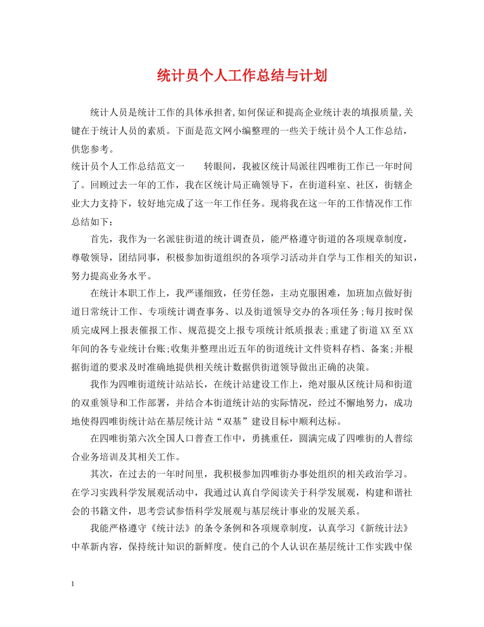 统计员个人工作总结与计划 _第1页