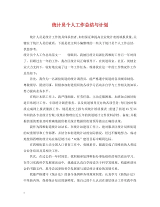 统计员个人工作总结与计划 