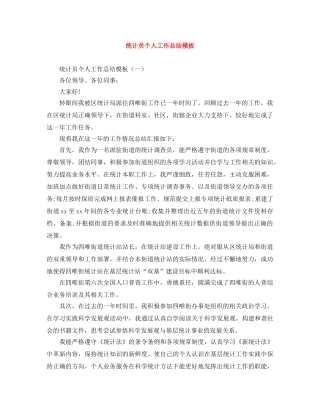 统计员个人工作总结模板 