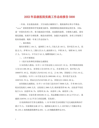 县级医院实践工作总结报告5000