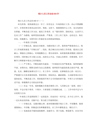 统计人员工作总结900字 
