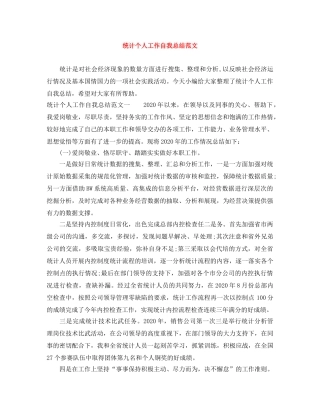 统计个人工作自我总结范文 