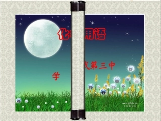 化学用语的专题复习
