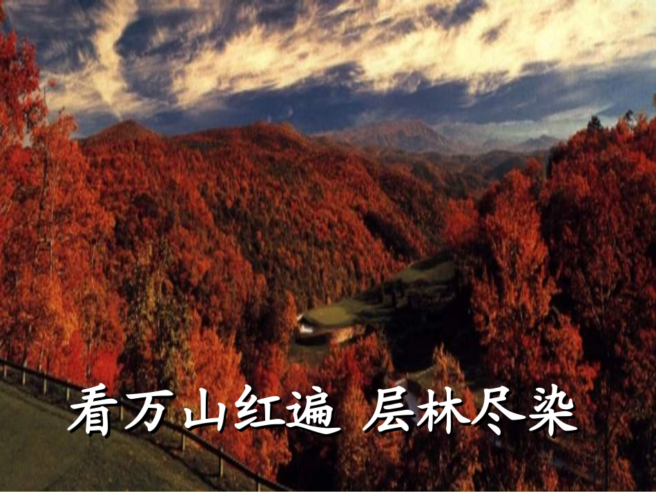 故都的秋优秀实用课件_第3页