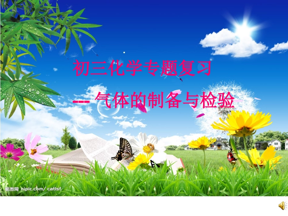 气体的制备与检验_第1页