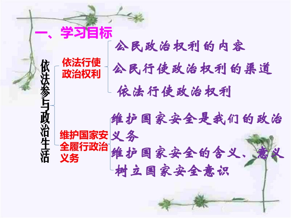 复习课第六课参与政治生活_第2页