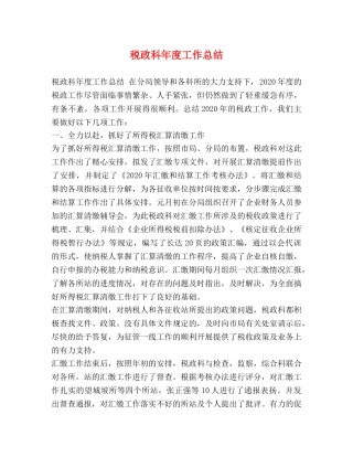 税政科年度工作总结 