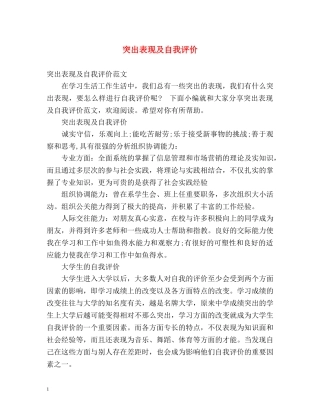 突出表现及自我评价 