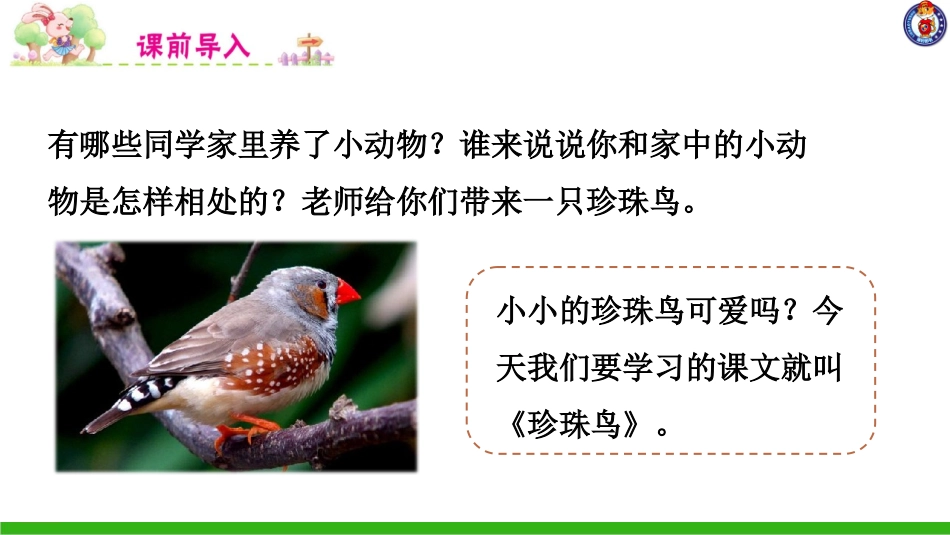 -珍珠鸟 ()_第1页