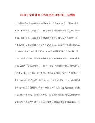 2020年文化体育工作总结及年工作思路