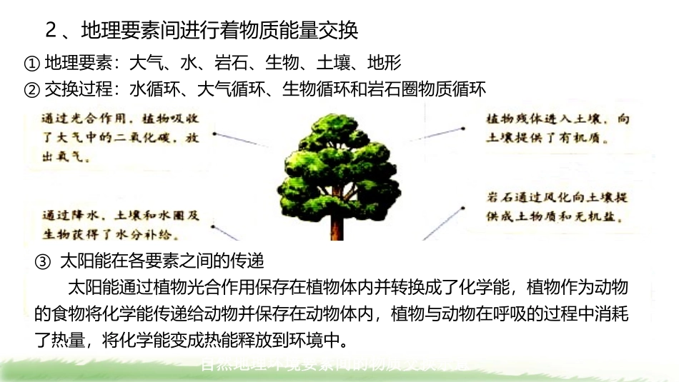 自然地理环境的整体性 (2)_第3页
