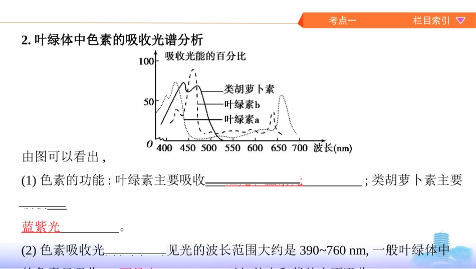 第9讲　光合作用_第3页