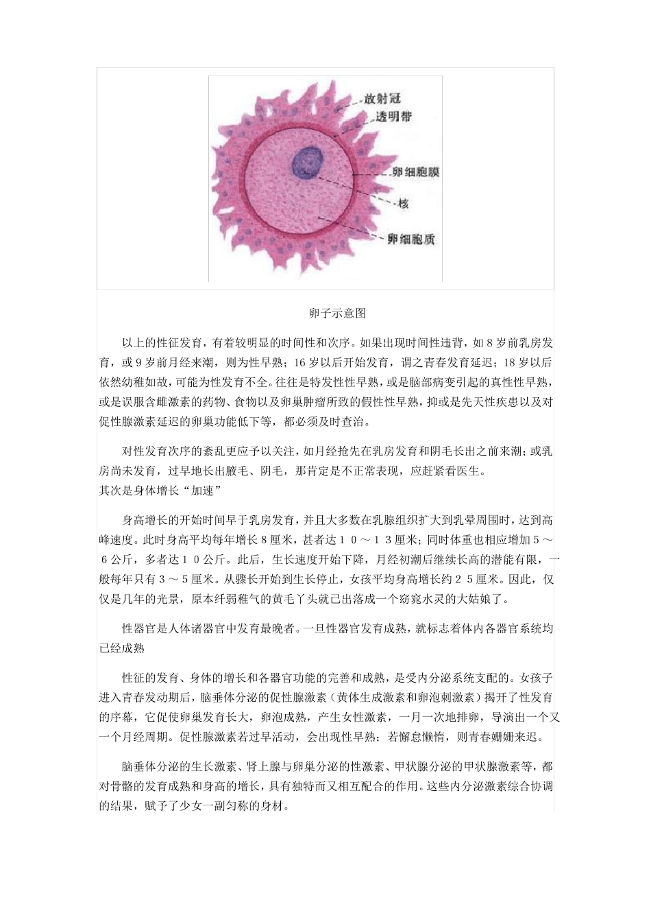 青春期女孩生理发育图_第2页