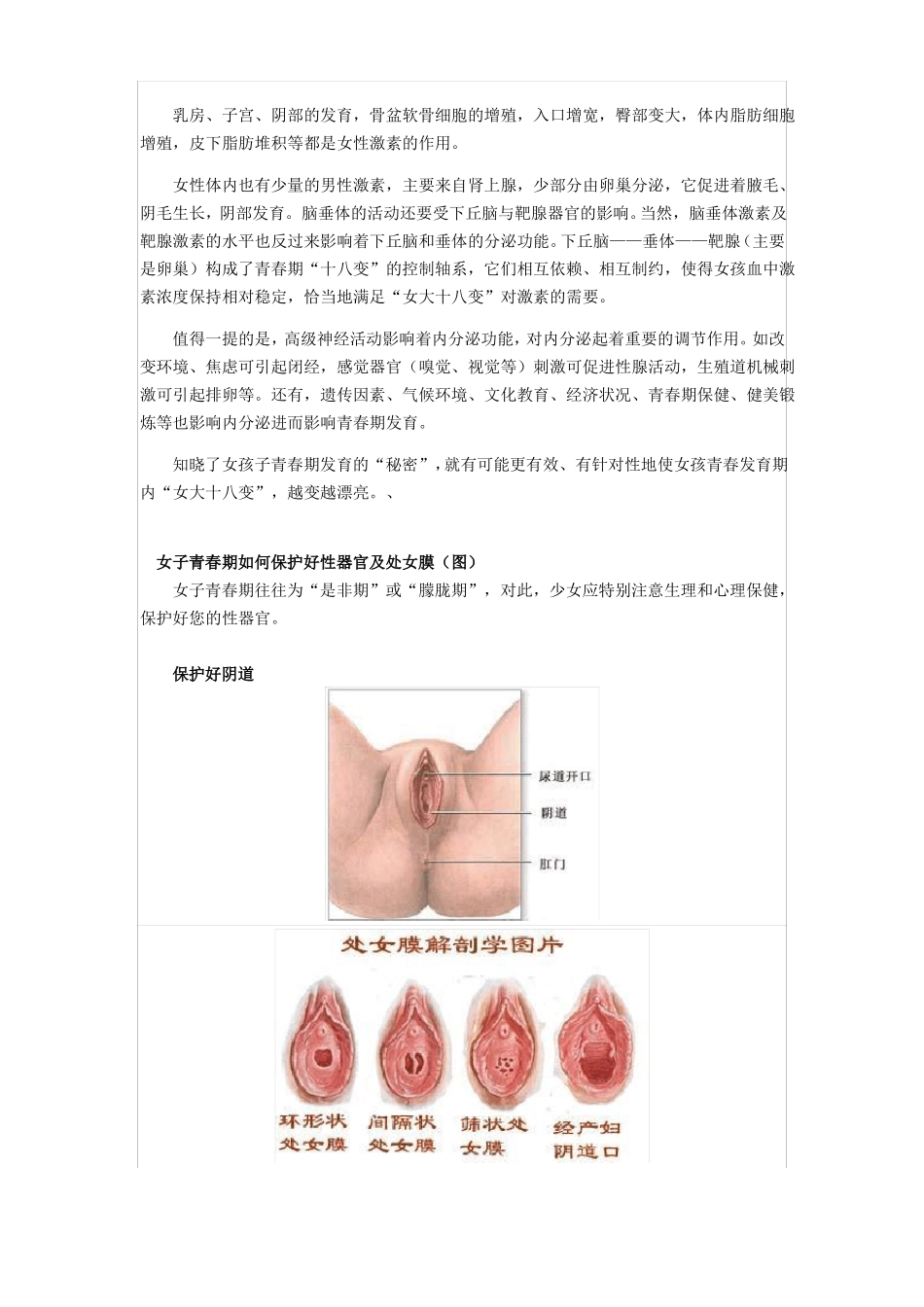 青春期女孩生理发育图_第3页