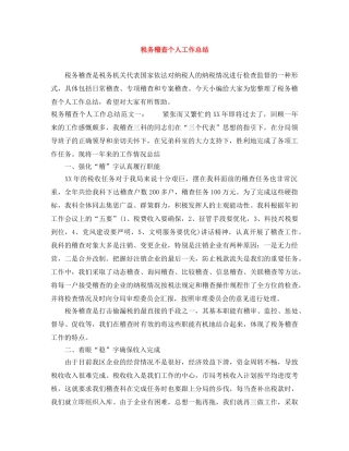 税务稽查个人工作总结 