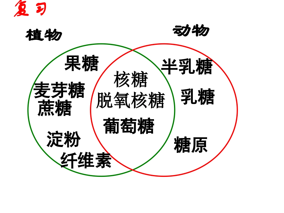 《细胞中的无机物》_第1页