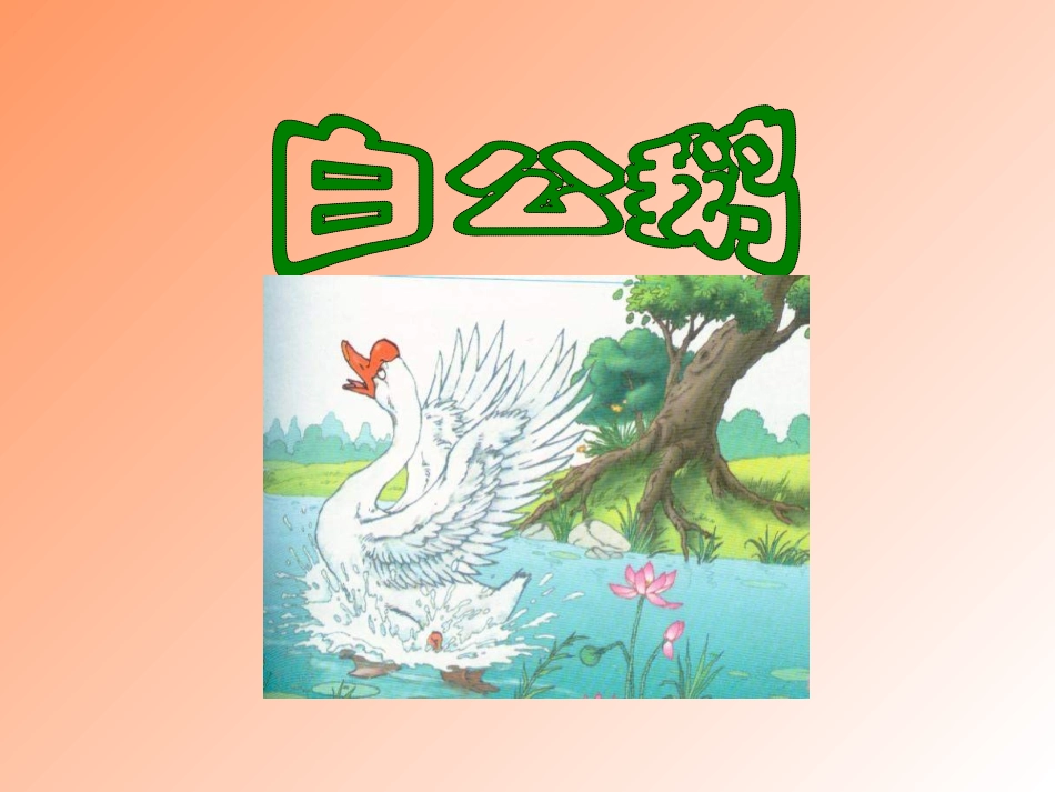 ___《白公鹅》课件_第1页