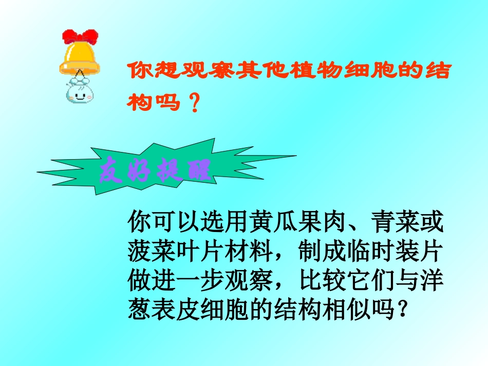 、、生物体的基本结构_第2页