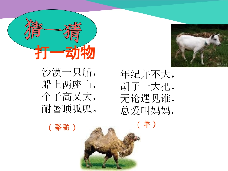(鄂教版)四年级品德与社会下册课件_我懂得了…_1_第2页