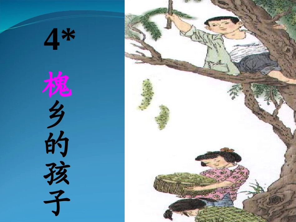 -《槐乡的孩子》课件_第1页
