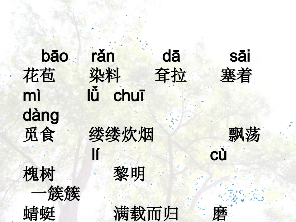 -《槐乡的孩子》课件_第2页