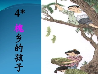 -《槐乡的孩子》课件