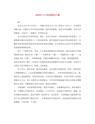 业务员个人工作总结范文三篇