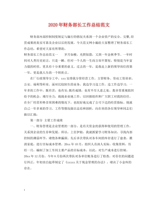 2020年财务部长工作总结范文
