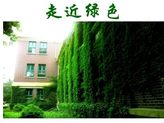 《囚绿记》课件张