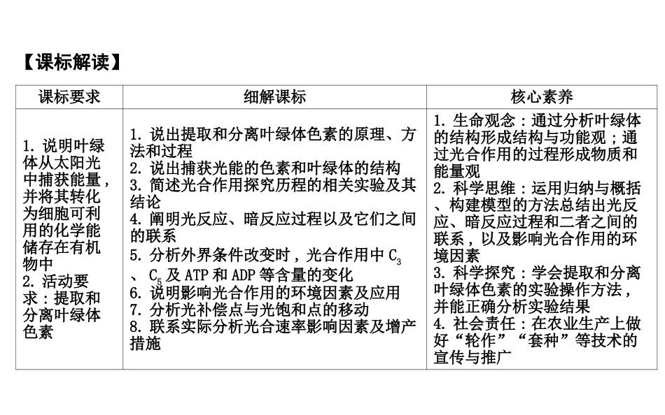 第10讲光合作用_第2页