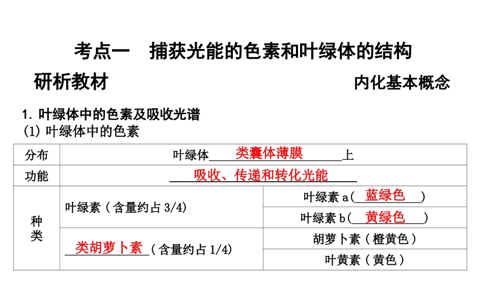 第10讲光合作用_第3页