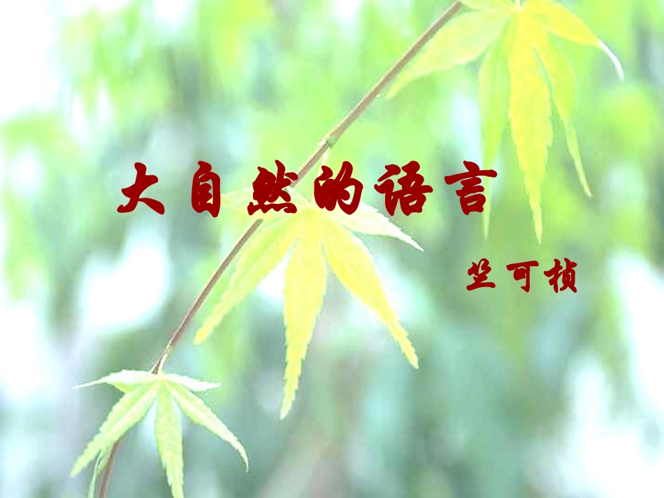 第16课《大自然的语言》_第1页