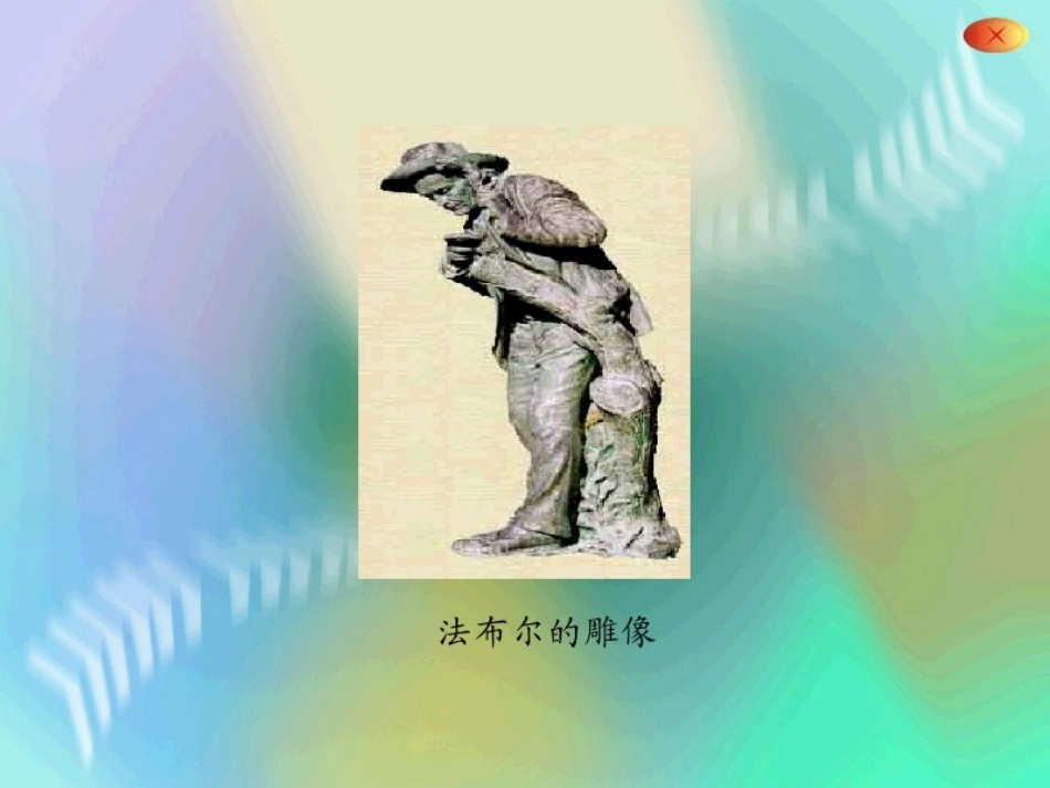 装满昆虫的衣袋PPT课件_第1页