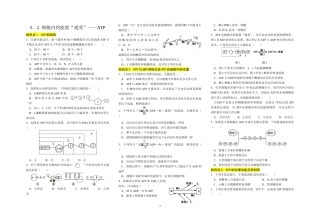 细胞内的能量通货——ATP（题）