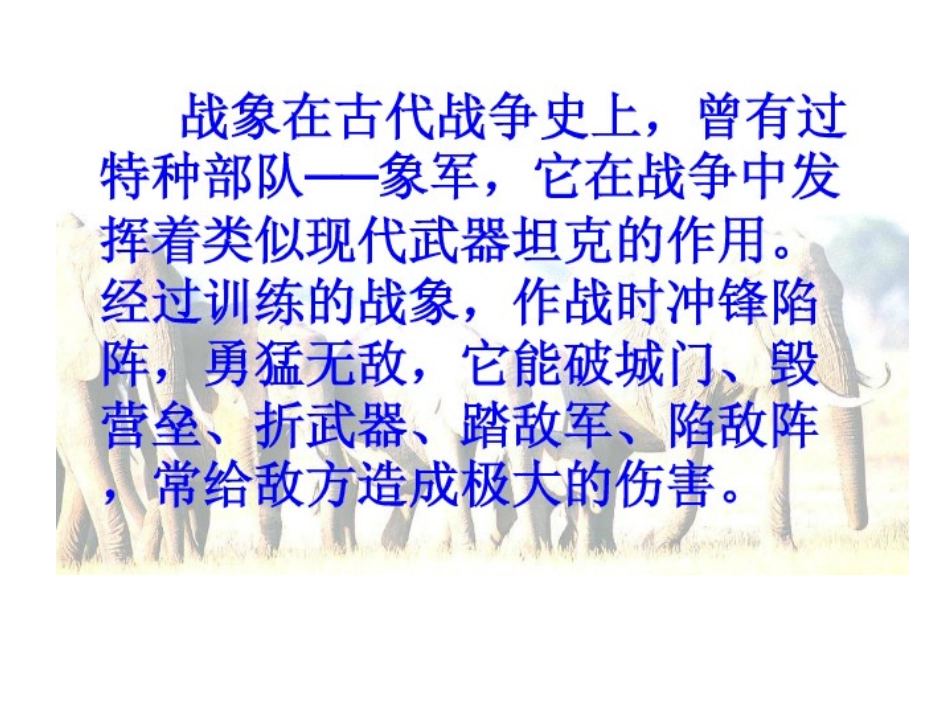 最后一头战象 (4)_第1页